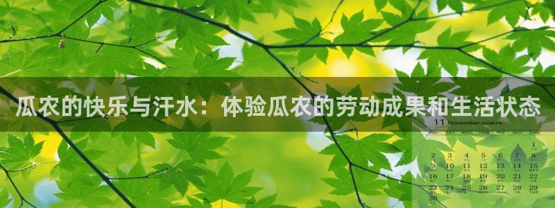 辉达娱乐电子游戏