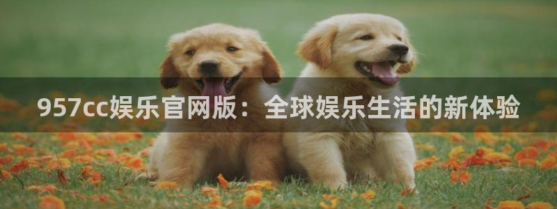 成辉达：957cc娱乐官网版：全球娱乐生活的新体验