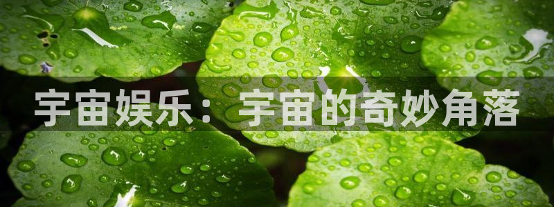 壹号app下载苹果：宇宙娱乐：宇宙的奇妙角落