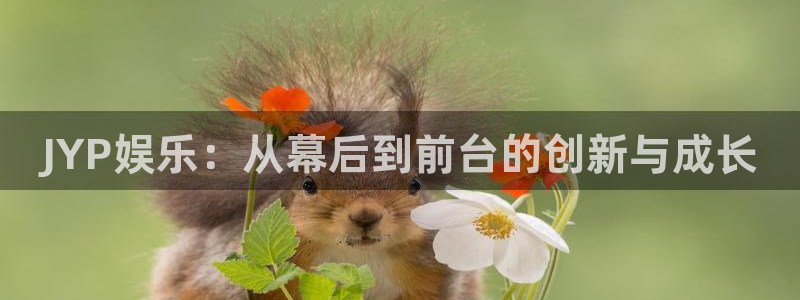 辉达平台开户：JYP娱乐：从幕后到前台的创新与成长